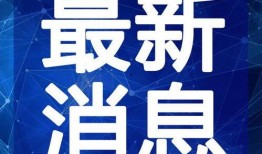 嘉善宠物店爆料视频最新,惊人内幕揭露行业黑幕